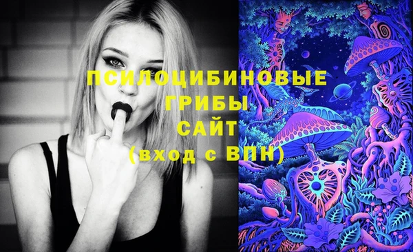 дурь Краснотурьинск