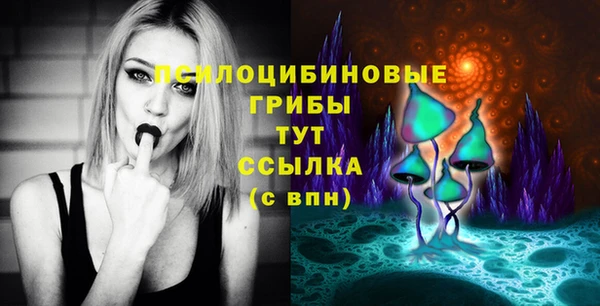 сатива Краснослободск