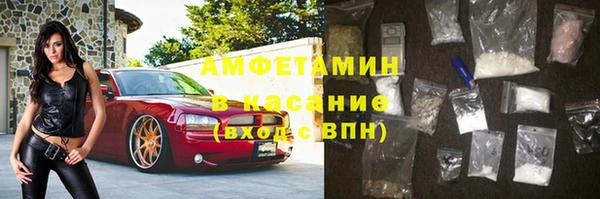 сатива Краснослободск