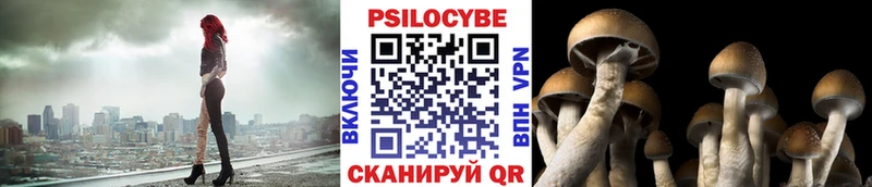 Галлюциногенные грибы мицелий  Купить  Благодарный 