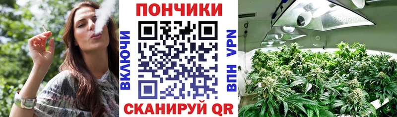 Конопля Bruce Banner  Купить  Благодарный 